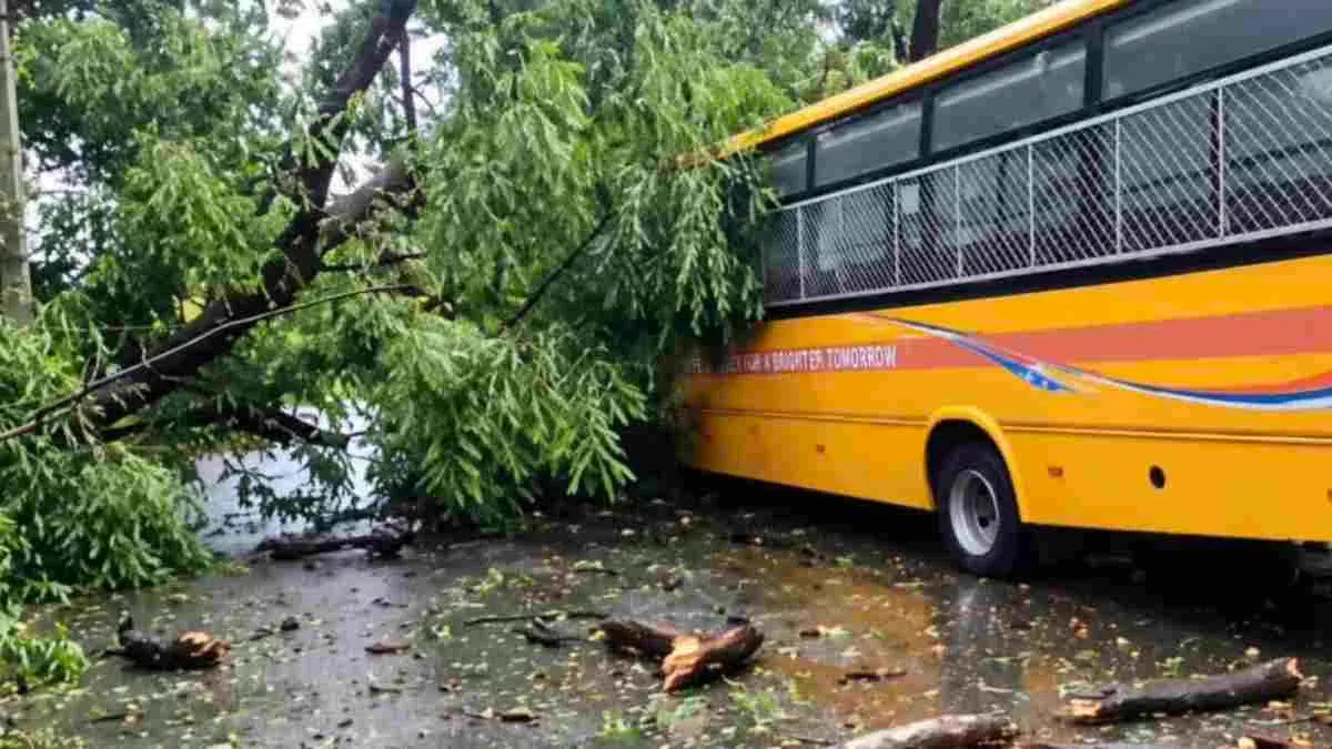 रांची में चलती स्कूल बस पर गिरा विशाल पेड़, 40 बच्चे बाल-बाल बचे