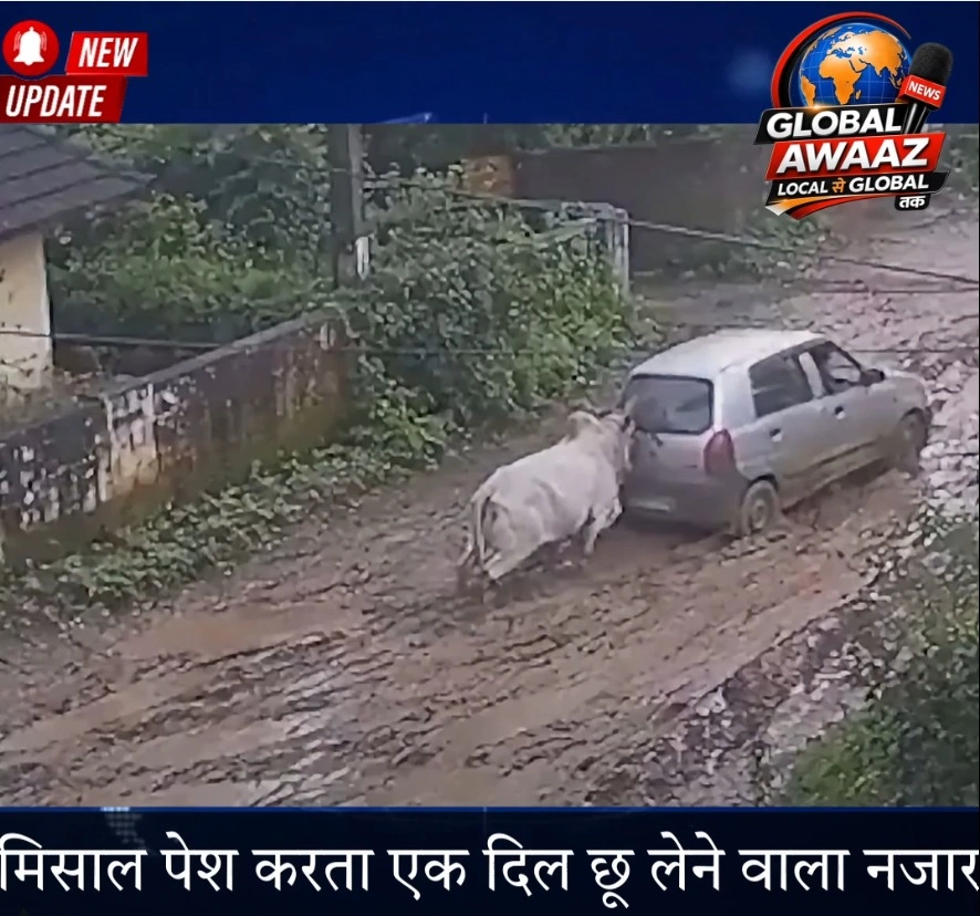 कीचड़ में फंसी गाड़ी को धक्का लगाने लगा सांड, बेजुबान की हरकत ने जीता लोगों का दिल!